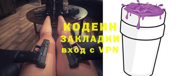 ПСИЛОЦИБИНОВЫЕ ГРИБЫ Арсеньев