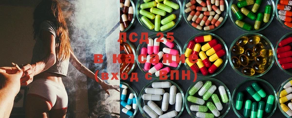 ПСИЛОЦИБИНОВЫЕ ГРИБЫ Арсеньев