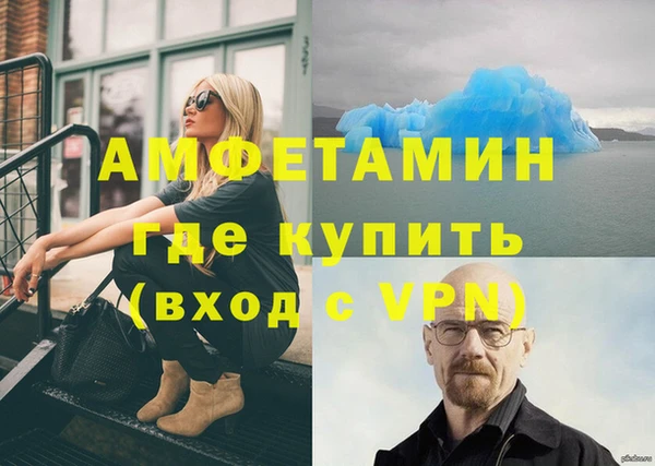ПСИЛОЦИБИНОВЫЕ ГРИБЫ Арсеньев
