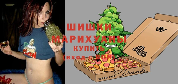 ПСИЛОЦИБИНОВЫЕ ГРИБЫ Арсеньев