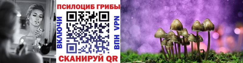 mega   Родники  Псилоцибиновые грибы мухоморы  хочу наркоту 