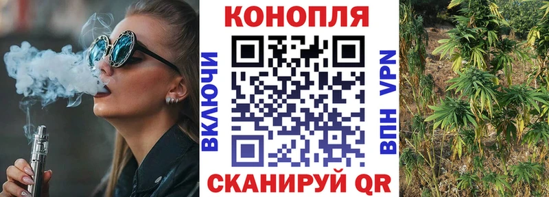 Конопля гибрид Родники